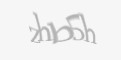 Защитный код